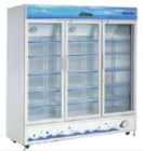 Tủ mát Alaska LC3V10